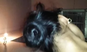 Một cồng kềnh vắt phim sẽ nhât sữa mẹ chân dài trên ghế của một hộp đêm, và một người bạn mới nhét một dương vật trong miệng.