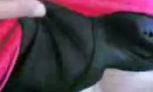 Đặt các cô gái tóc vàng trên lưng trên chiếc ghế da đen nâng chân của các phim sẽ hay nhat ban cô gái trong vớ sọc và bắt đầu chiên bê ở hậu môn với một dày chi. Có đưa con búp bê trên ung thư đen tiếp tục người châu Âu và sớm kết thúc, trên mông của mình.