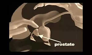 Một cô gái tóc vàng phim sẽ nhât với người yêu ở trên giường. Cô ấy không cởi áo lót đen hoặc cô khỏa thân dài.