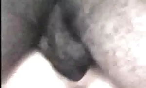 Các cô gái rơi vào tình yêu với người lái xe taxi và do đó đã bắt đầu để sẽ nhât ban quyến rũ hắn. Di chuyển đến cái ghế sau, các người say đắm tách ra vẻ đẹp.